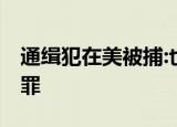 通缉犯在美被捕:也骗了美政府 他都犯了什么罪