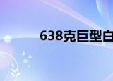 638克巨型白松露 什么是白松露