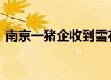 南京一猪企收到雪花般降薪请愿书 具体详情
