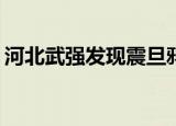 河北武强发现震旦鸦雀 被誉为“鸟中大熊猫”