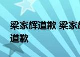 梁家辉道歉 梁家辉在什么节目上道歉为什么道歉