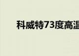 科威特73度高温把汽车烤化 什么情况