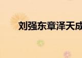 刘强东章泽天成立私募公司 具体详情