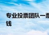 专业投票团队一票多少钱，刷票5000票多少钱