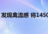 发现禽流感 将1450只鸡判定废弃后化制销毁