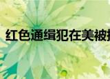 红色通缉犯在美被捕 详情始末来龙去脉披露