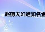 赵薇夫妇遭知名金融机构起诉 不久将开庭