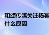 和颂传媒关注杨幂职黑怎么回事是手滑吗还是什么原因