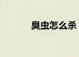 臭虫怎么杀 如何彻底消灭臭虫