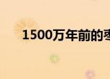 1500万年前的枣被发现 具体长什么样