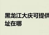 黑龙江大庆可提供OKI针式打印机维修服务地址在哪