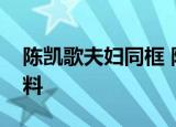 陈凯歌夫妇同框 陈凯歌妻子是谁陈红个人资料