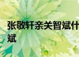 张敬轩亲关智斌什么梗张敬轩什么场合亲关智斌