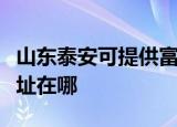 山东泰安可提供富士通针式打印机维修服务地址在哪