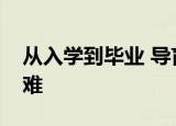 从入学到毕业 导盲犬毕业到底有多难为什么难