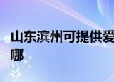 山东滨州可提供爱普生扫描仪维修服务地址在哪