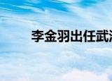 李金羽出任武汉队主教练 具体详情