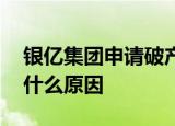 银亿集团申请破产 为什么银亿集团申请破产什么原因