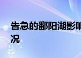 告急的鄱阳湖影响到底有多大 到底是什么情况