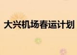 大兴机场春运计划 具体有哪些航班什么情况