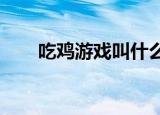 吃鸡游戏叫什么名字名字来自什么梗