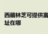 西藏林芝可提供富士通针式打印机维修服务地址在哪
