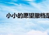 小小的愿望撤档是什么情况无法如期上映