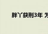 胖丫获刑3年 为什么获刑犯了什么罪