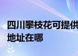 四川攀枝花可提供爱普生票据打印机维修服务地址在哪