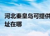 河北秦皇岛可提供中税针式打印机维修服务地址在哪