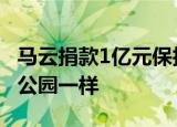 马云捐款1亿元保护西溪湿地 将其打造像纽约公园一样