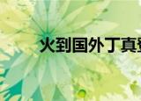 火到国外丁真登上电视台 具体详情