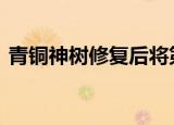 青铜神树修复后将第一时间展出 具体怎么样