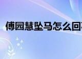傅园慧坠马怎么回事发生了什么受伤严重吗
