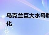 乌克兰巨大水母群覆盖海面 疑似海洋环境恶化