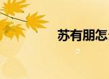 苏有朋怎么了发生了什么
