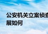 公安机关立案侦查大头娃娃事件 案件调查进展如何