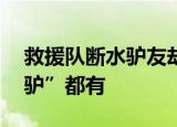 救援队断水驴友却烧水泡茶 林子大了什么“驴”都有