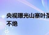 央视曝光山寨叶圣陶杯比赛 假比赛为什么打不绝