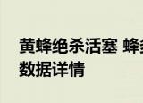 黄蜂绝杀活塞 蜂多少比分绝杀活塞双方得分数据详情