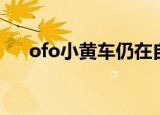 ofo小黄车仍在自动续费 这是怎么回事