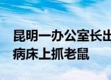 昆明一办公室长出巨大蘑菇 大妈食用曾致幻 病床上抓老鼠