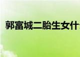 郭富城二胎生女什么情况方媛几时诞下二胎