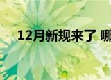 12月新规来了 哪些新规将影响你的生活