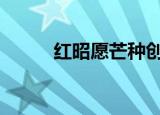 红昭愿芒种创作者维权 具体详情