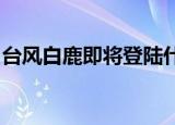 台风白鹿即将登陆什么情况台风白鹿在哪登陆