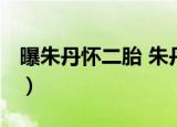 曝朱丹怀二胎 朱丹怀孕是真的吗什么情况(图）