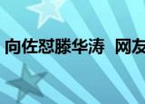 向佐怼滕华涛  网友称大快人心向太作何回应