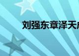 刘强东章泽天成立新公司 具体详情