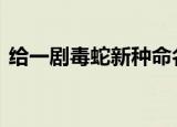 给一剧毒蛇新种命名为素贞 具体是怎么回事
